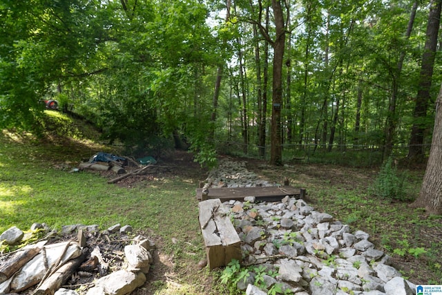 13339 Sylvia Dr, Lake View, AL 35111 - view of yard featuring a wooded view