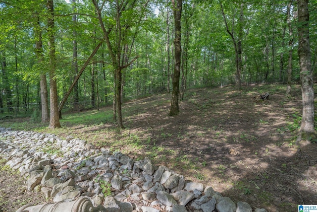 13339 Sylvia Dr, Lake View, AL 35111 - view of woods