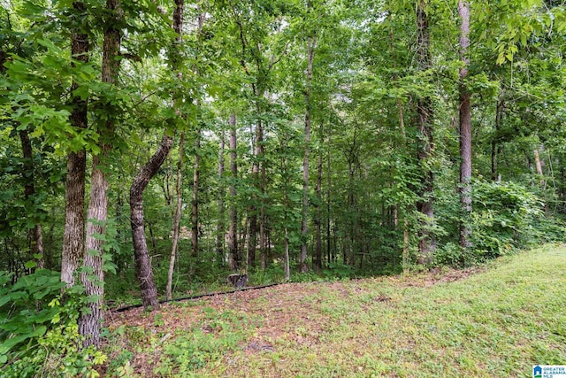 13339 Sylvia Dr, Lake View, AL 35111 - view of woods