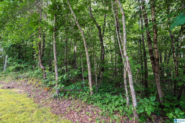 13339 Sylvia Dr, Lake View, AL 35111 - view of nature