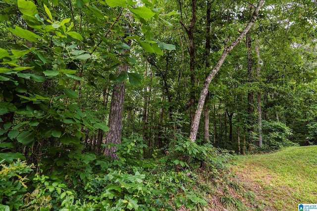 13339 Sylvia Dr, Lake View, AL 35111 - view of undeveloped land