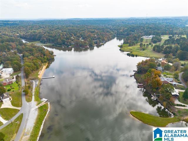 13339 Sylvia Dr, Lake View, AL 35111 - aerial view of a large body of water and a heavily wooded area