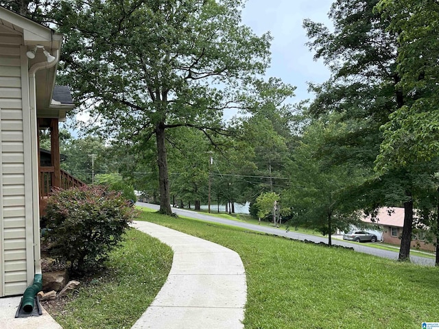 21131 Delmar Dr, Lake View, AL 35111 - view of home's community with a yard