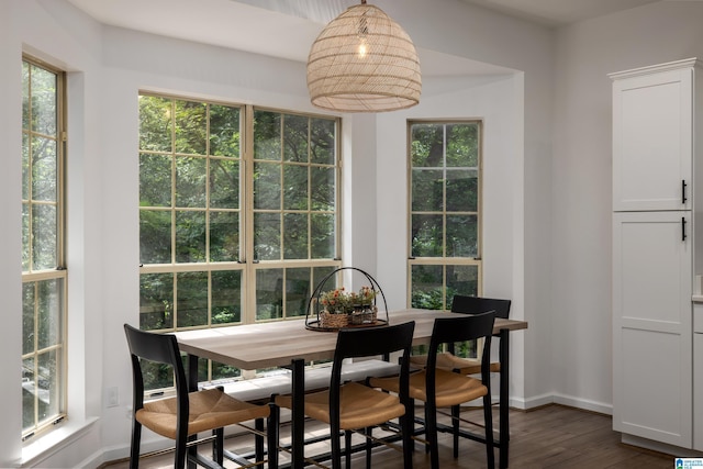 5883 William O Ln, Gardendale, AL 35071 - dining room with dark wood-type flooring, plenty of natural light, and baseboards