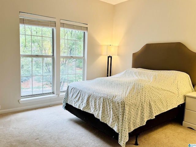 2004 Waterford Pl Unit 2004, Hoover, AL 35244 - bedroom with light colored carpet