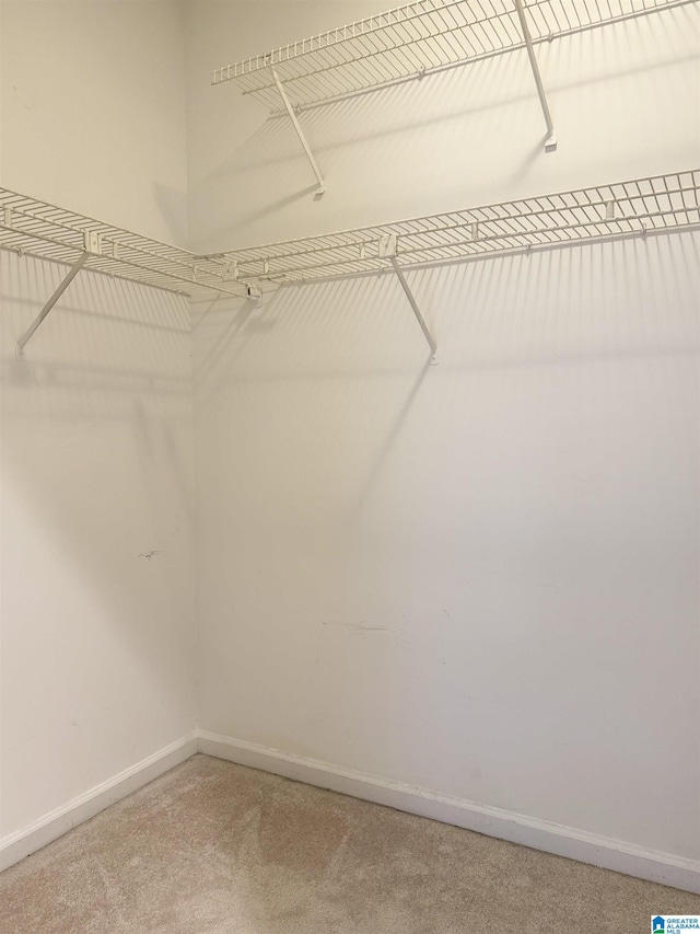 2004 Waterford Pl Unit 2004, Hoover, AL 35244 - spacious closet with light colored carpet