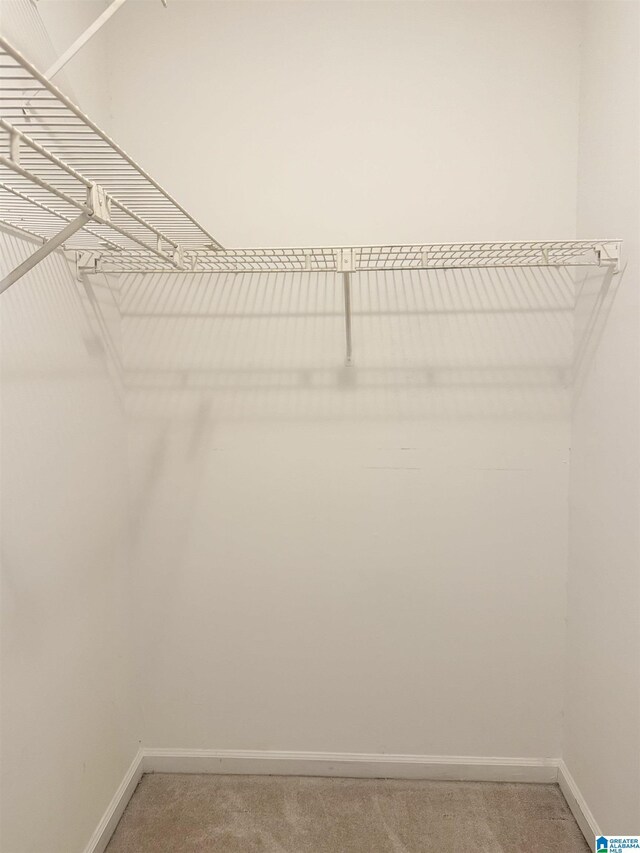 2004 Waterford Pl Unit 2004, Hoover, AL 35244 - walk in closet with light carpet