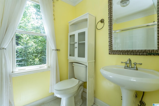 2940 Coatbridge Ln, Birmingham, AL 35242 - bathroom with toilet, ornamental molding, and a sink