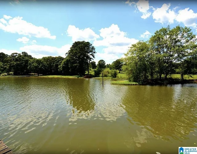 145 Maine Dr, Cropwell, AL 35054 - water view