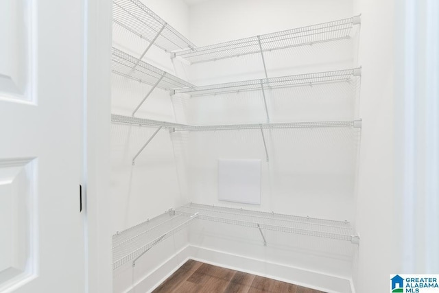 157 Shiloh Creek Dr, Calera, AL 35040 - spacious closet with dark wood-style floors