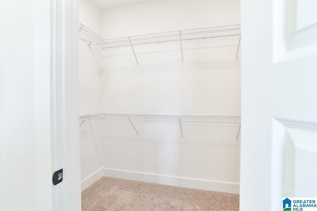 157 Shiloh Creek Dr, Calera, AL 35040 - walk in closet featuring carpet