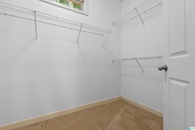 22582 Iron Masters Loop, Mccalla, AL 35111 - walk in closet featuring carpet floors