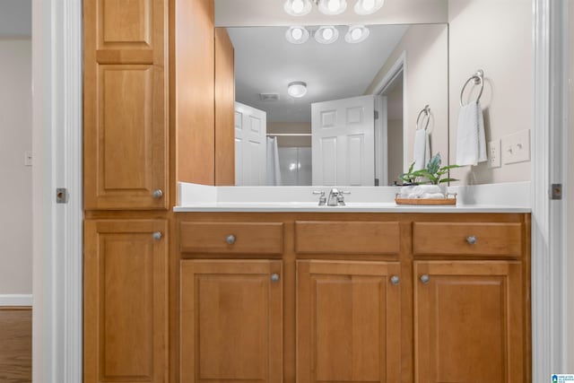 22582 Iron Masters Loop, Mccalla, AL 35111 - bathroom with vanity and a shower