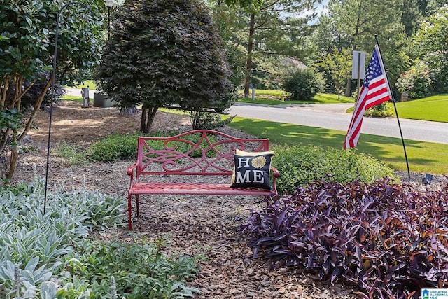 22582 Iron Masters Loop, Mccalla, AL 35111 - view of community