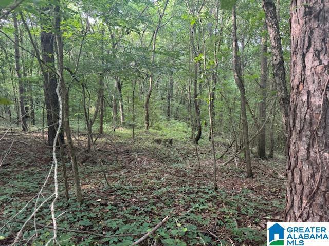 104 Shell Ln Unit 0, Pell City, AL 35128