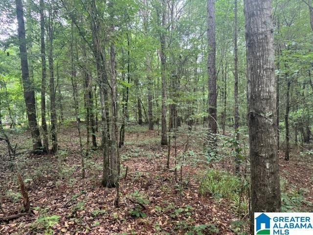 104 Shell Ln Unit 0, Pell City, AL 35128