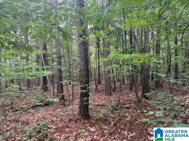 104 Shell Ln Unit 0, Pell City, AL 35128