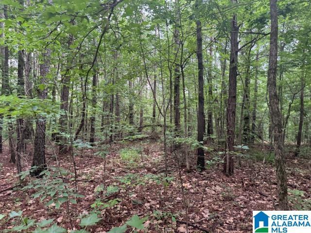 104 Shell Ln Unit 0, Pell City, AL 35128