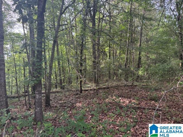 104 Shell Ln Unit 0, Pell City, AL 35128