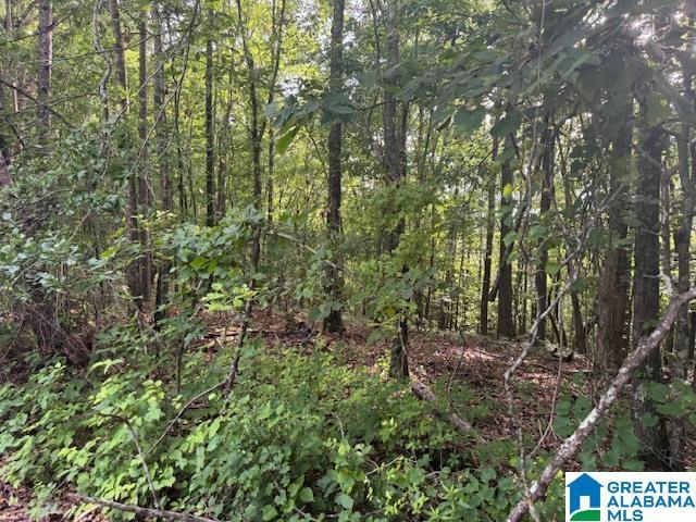 104 Shell Ln Unit 0, Pell City, AL 35128
