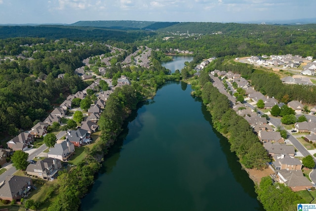 5182 Park Side Cir, Hoover, AL 35244 - aerial view of residential area with a heavily wooded area and a large body of water