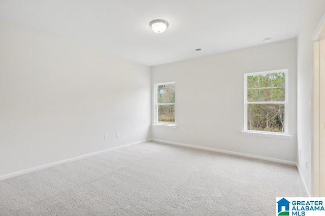 2029 Valley Run, Leeds, AL 35094 - spare room with baseboards, carpet floors, and plenty of natural light