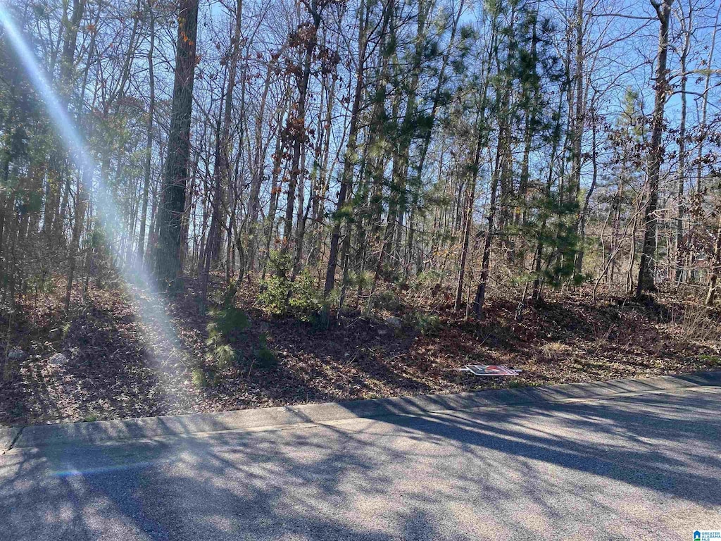 8139 Willowbrooke Ter Unit 15, Trussville, AL 35173