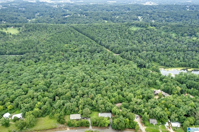 3107 Smith Sims Rd Unit 3107, Trussville, AL 35173