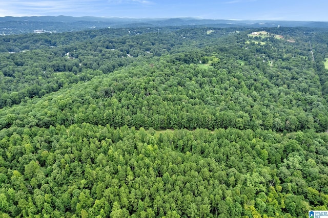 3107 Smith Sims Rd Unit 3107, Trussville, AL 35173