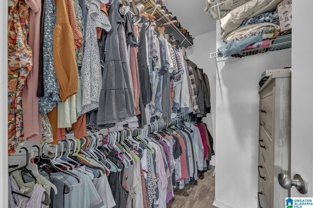 1515 Baxter Ave, Springville, AL 35146 - walk in closet featuring wood finished floors