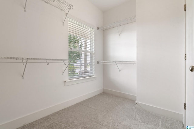 3024 Camellia Ridge Ct, Pelham, AL 35124 - walk in closet featuring light carpet