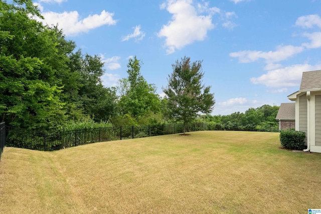 3024 Camellia Ridge Ct, Pelham, AL 35124 - view of yard