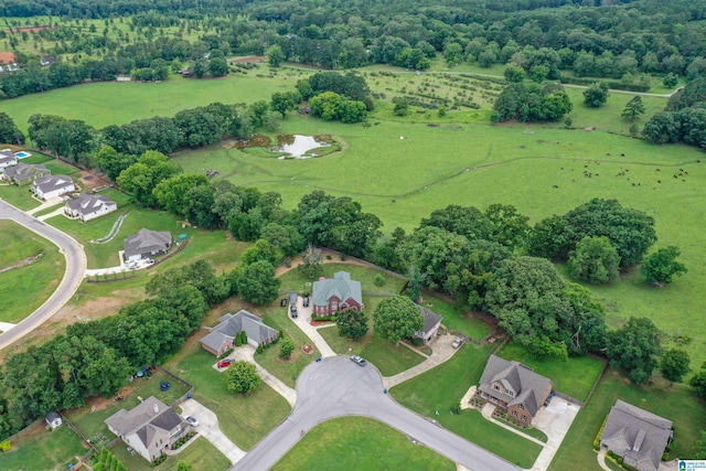 295 Homestead Dr, Cropwell, AL 35054 - aerial view of residential area