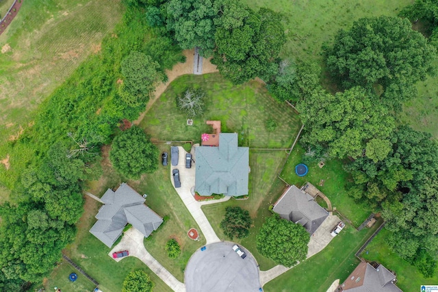 295 Homestead Dr, Cropwell, AL 35054 - aerial view of property's location