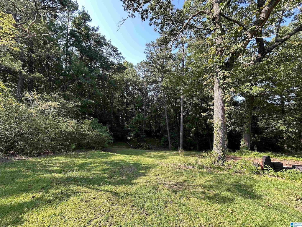 Forest Dr Unit 1, Warrior, AL 35180