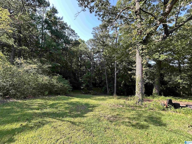 Forest Dr Unit 1, Warrior, AL 35180