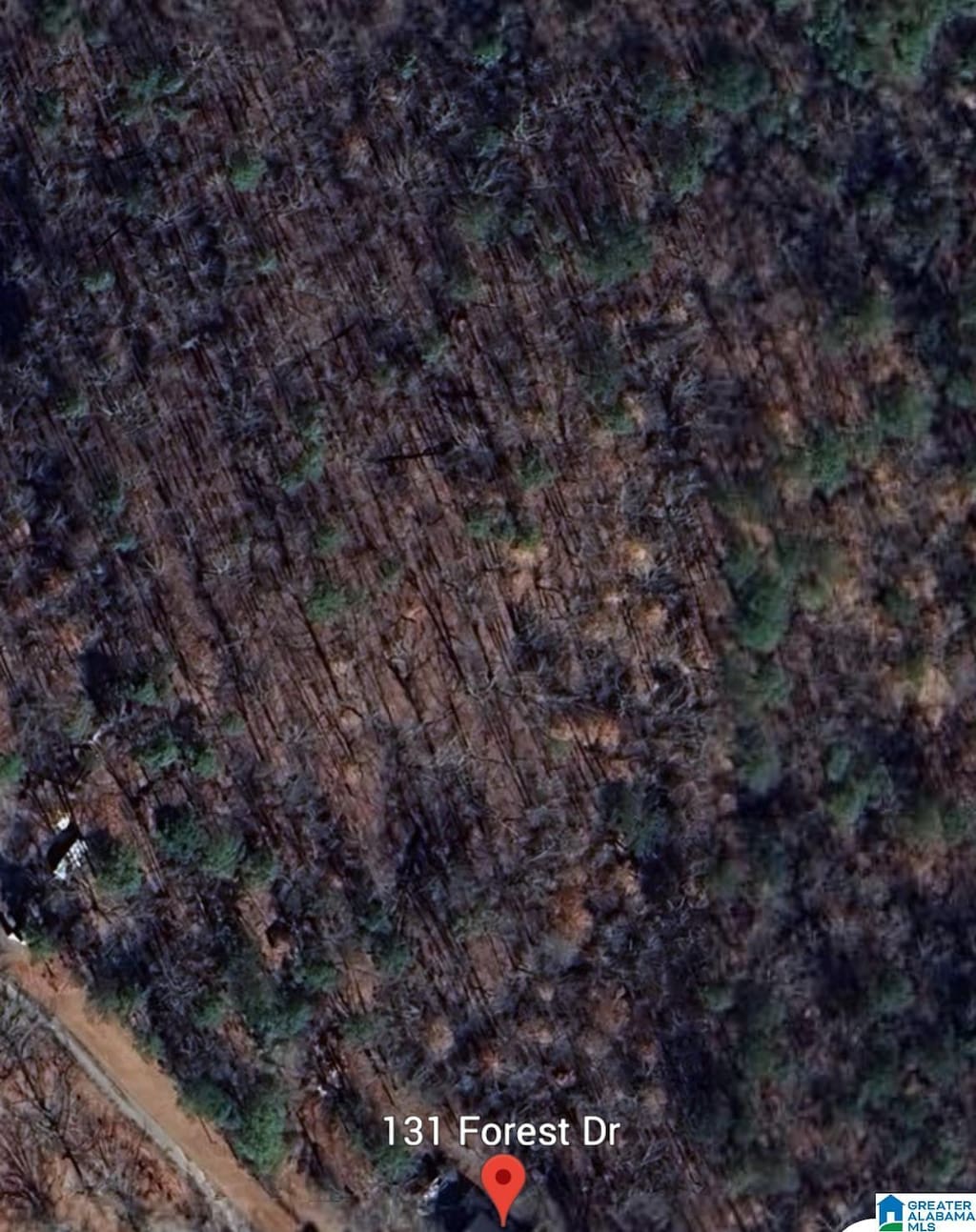 Forest Dr Unit 1, Warrior, AL 35180