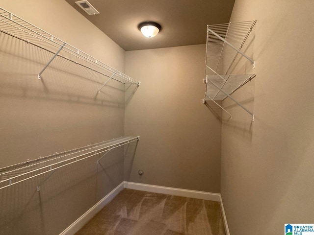 168 Willow View Ln, Westover, AL 35186 - spacious closet with carpet