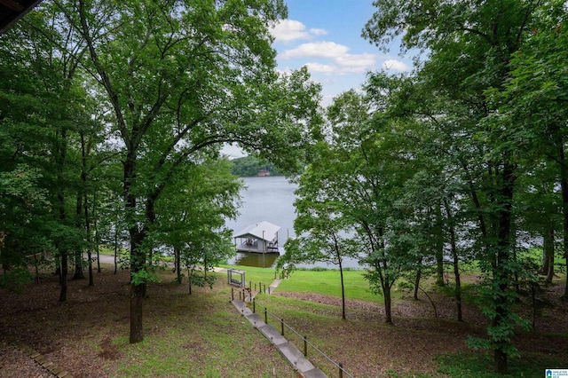840 Black Acres Rd, Cropwell, AL 35054 - view of green lawn with a water view