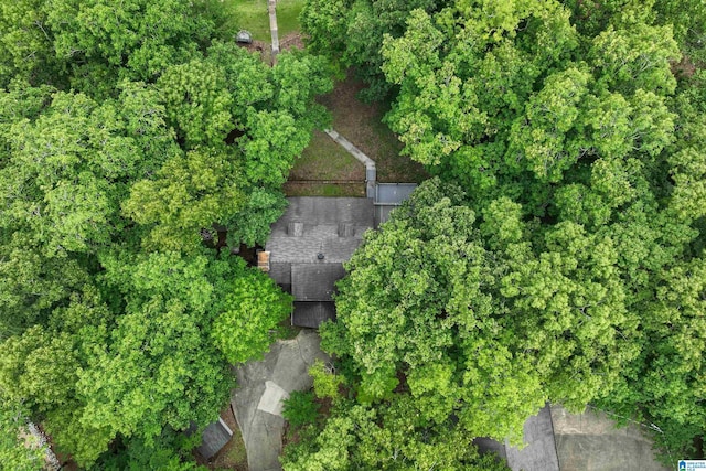 840 Black Acres Rd, Cropwell, AL 35054 - aerial view