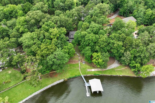 840 Black Acres Rd, Cropwell, AL 35054 - aerial view of property's location with a large body of water
