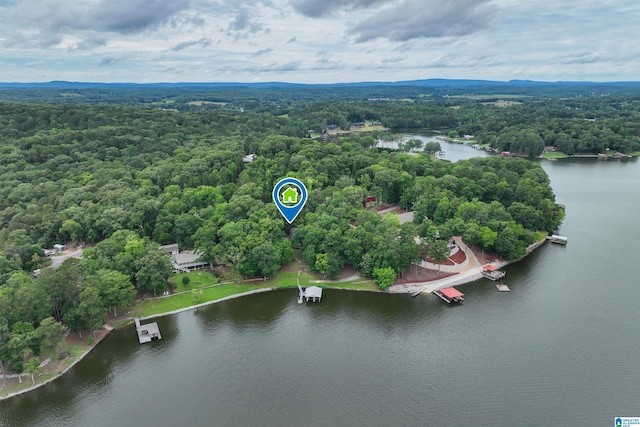 840 Black Acres Rd, Cropwell, AL 35054 - bird's eye view of a heavily wooded area and a nearby body of water