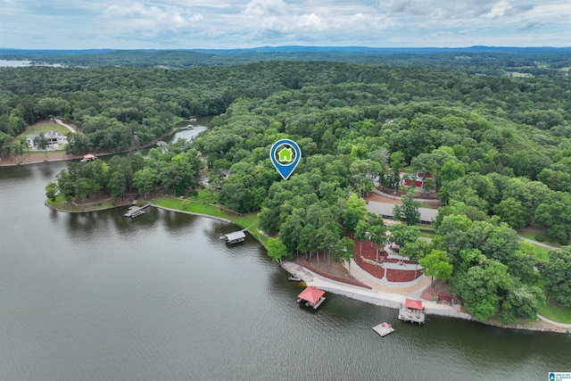 840 Black Acres Rd, Cropwell, AL 35054 - drone / aerial view of a forest and a large body of water