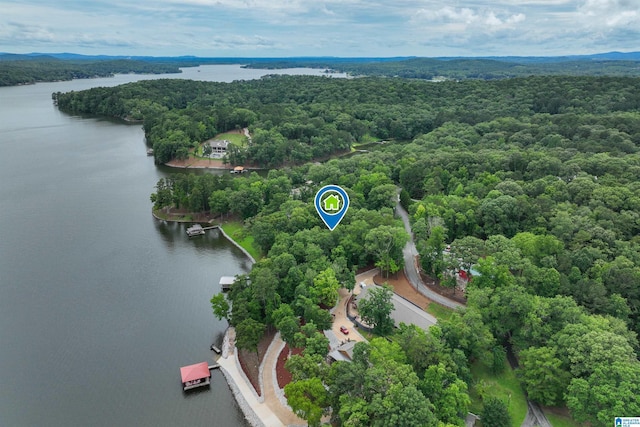 840 Black Acres Rd, Cropwell, AL 35054 - bird's eye view of a large body of water