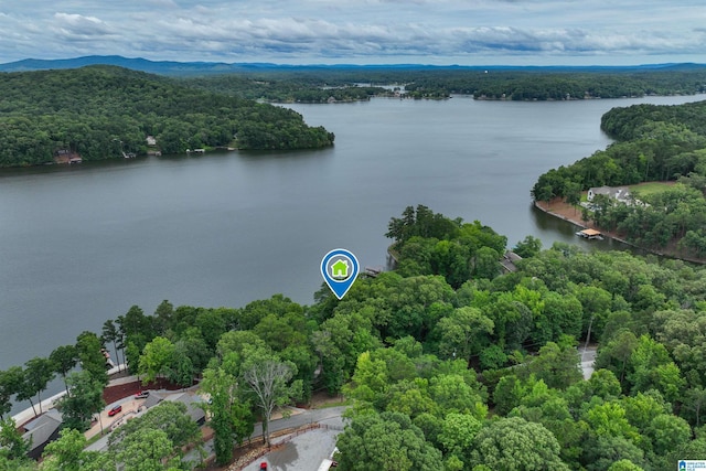 840 Black Acres Rd, Cropwell, AL 35054 - bird's eye view of a forest and a nearby body of water