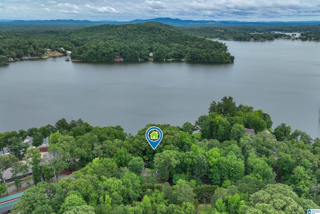 840 Black Acres Rd, Cropwell, AL 35054 - drone / aerial view of a heavily wooded area and a nearby body of water