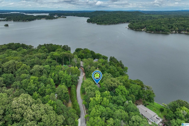 840 Black Acres Rd, Cropwell, AL 35054 - bird's eye view of a nearby body of water