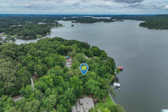 840 Black Acres Rd, Cropwell, AL 35054 - aerial view of a large body of water and a heavily wooded area