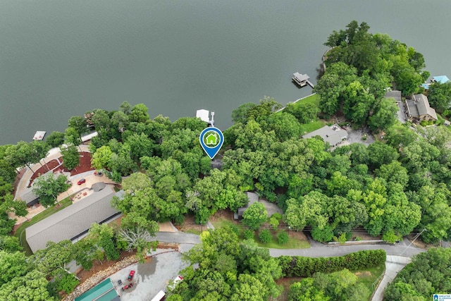 840 Black Acres Rd, Cropwell, AL 35054 - bird's eye view