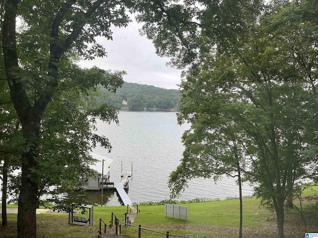840 Black Acres Rd, Cropwell, AL 35054 - water view featuring a dock